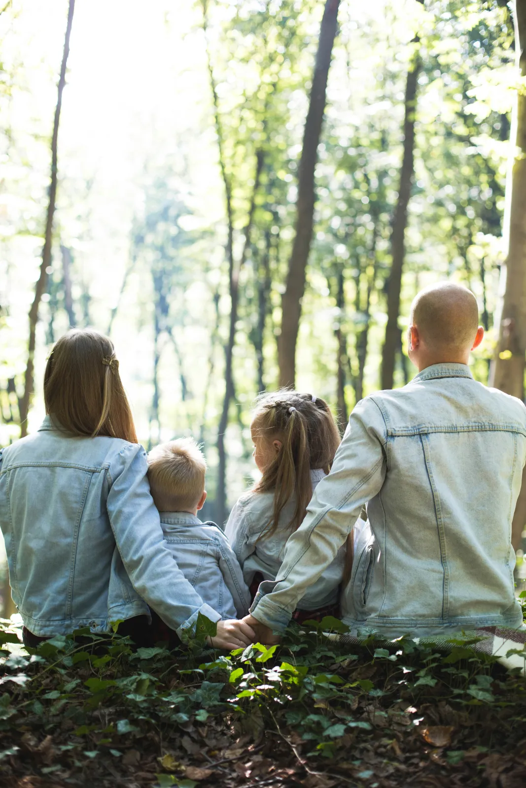 A family sitting together in a sunlit forest