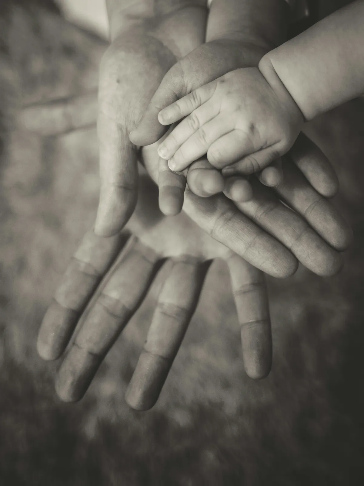 Parent and child hands together